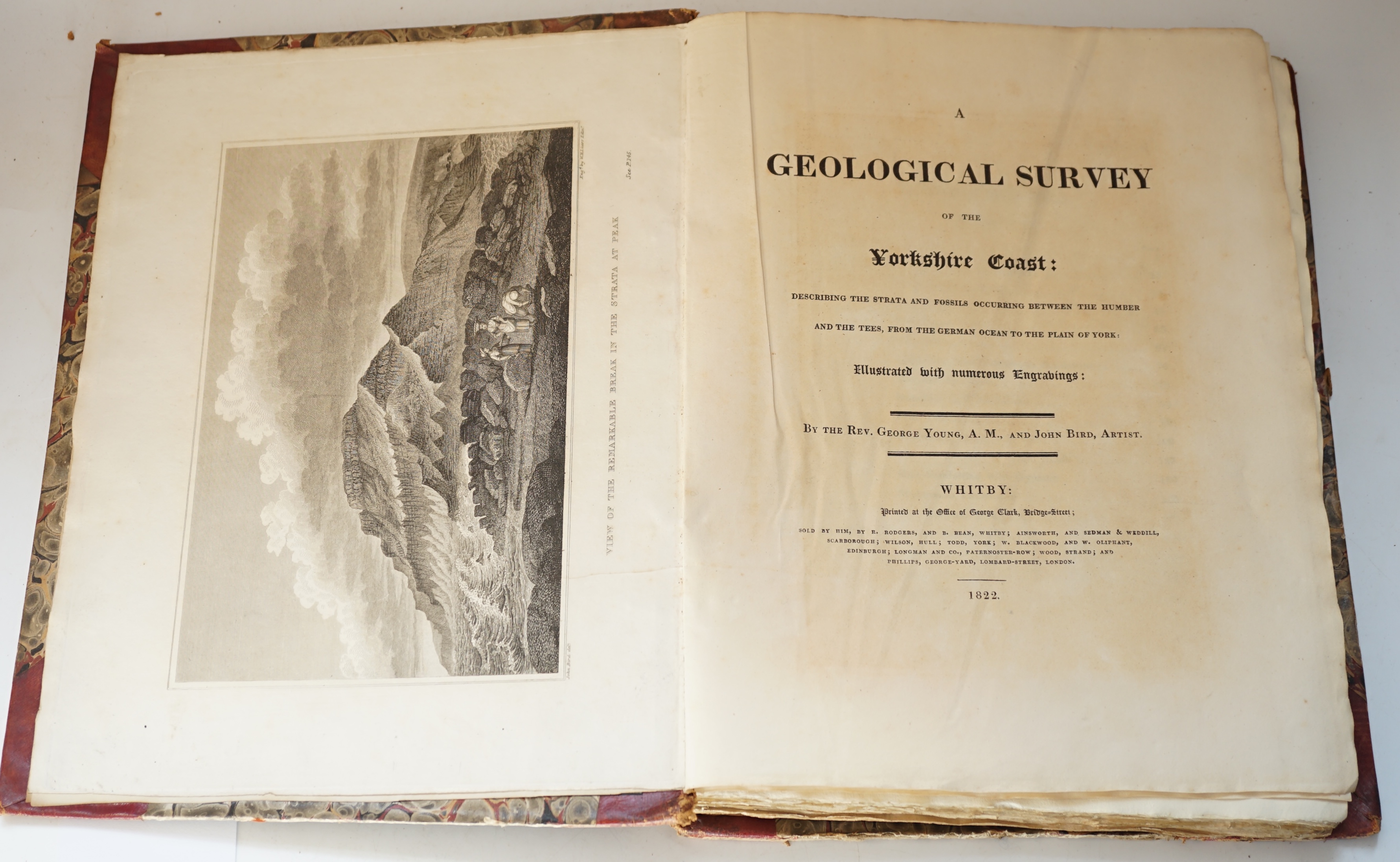 Young, George and John Bird (illustrator) - A Geological Survey of the Yorkshire Coast: Describing the Strata and Fossils Occurring between the Humber and the Tees, from the German Ocean to the Plain of York, 1st edition